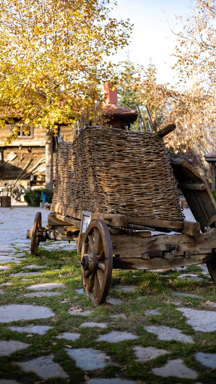 services-03 A vintage wooden cart in a rural setting with autumn foliage, capturing a nostalgic countryside scene.