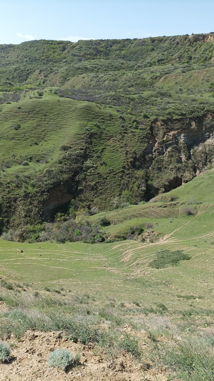 contact-img Scenic green hills under a clear day sky, showcasing natural beauty and tranquility.